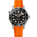 210.32.42.20.01.006